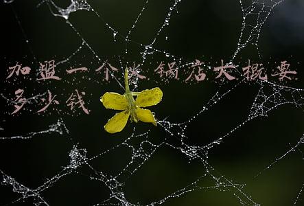 火锅店加盟要多少钱-火锅加盟费大概多少