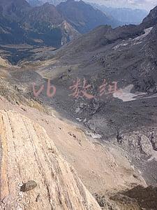 vb数组定义(VB的任性，从Variant开始)