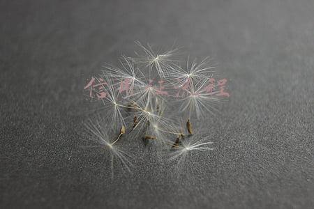 信用证流程图(国际信用证流程图)