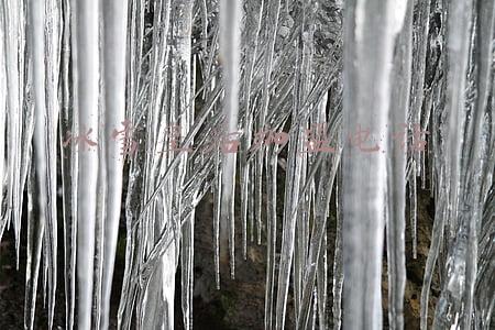 冰雪皇后加盟电话