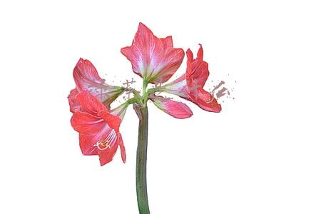 绿茶是什么茶(各省绿茶代表，你家乡上榜几个？（上）)