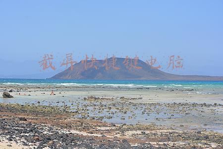 截屏快捷键电脑