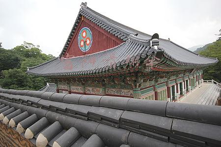 富阳滑翔伞