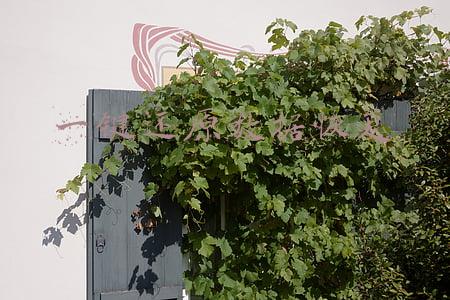 一键还原数据恢复