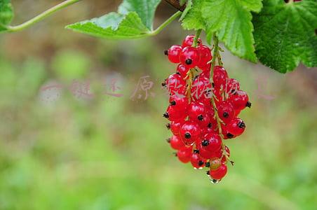 一键还原数据恢复