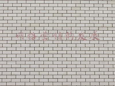 网络营销的发展