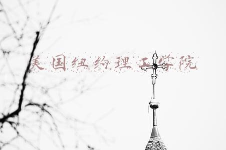 美国纽约理工大学(考上纽约理工学院有多难？)