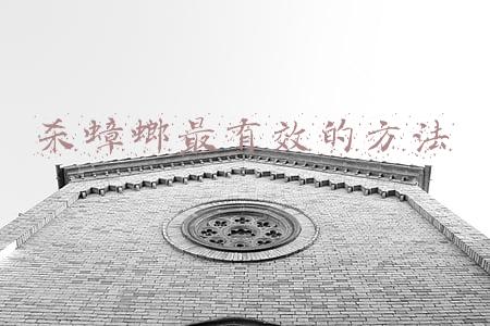 杀蟑螂最有效的方法