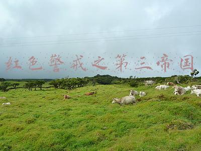 红色警戒之第三帝国下载的方法(托卡马克之冠：当“暴雪出品，必属精品”从信仰沦为笑话……)