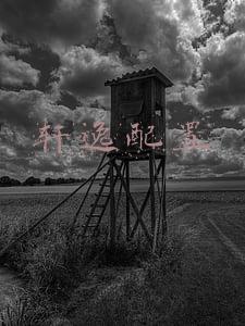 轩逸配置参数表(试驾日产轩逸，好开舒适，油耗5.2L，能否坐稳A级市场的标杆？)