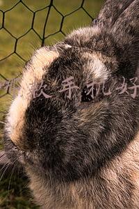 哪款手机好用又实惠2021(新机潮来袭，2021年老机型或许更值得购买，很多都是性价比之王)