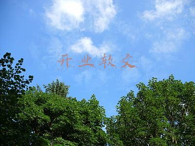 公司开业软文(餐饮新店开业广告宣传策划方案)