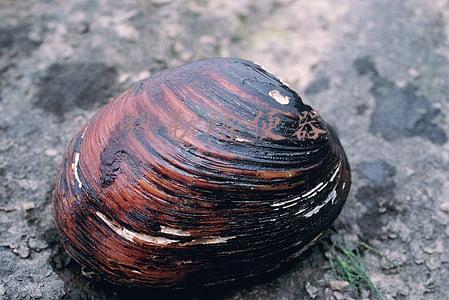 科勒蹲便器