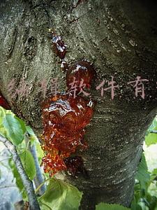 专业的视频编辑软件有哪些(推荐给你：有声书、短视频、自媒体等常用的5款音频编辑软件)