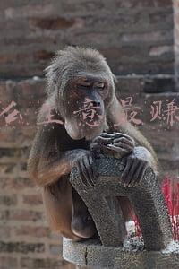 什么生意最赚钱