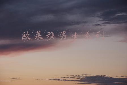 欧莱雅男士系列