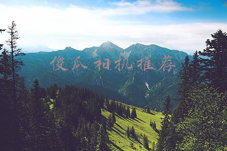 傻瓜相机推荐