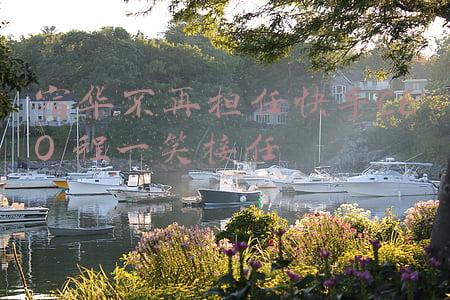 徐雷接任京东ceo(刘强东排兵布阵：徐雷历经沉浮 终成京东集团2号人物)