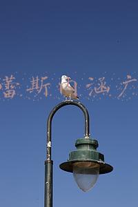 杜蕾斯内涵广告