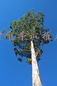 能接打电话的智能手环推荐(不仅能打电话，还能减压助眠，这款智能手环一定要了解一下！)