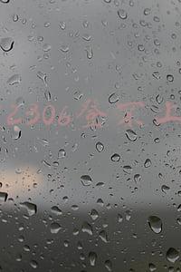 12306登不上