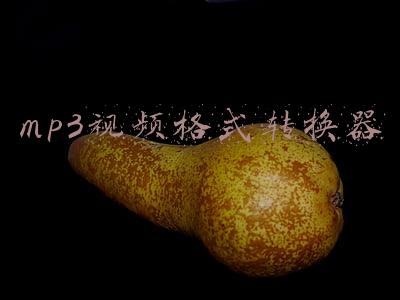 mp3视频格式转换器