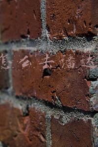 魔兽潘达利亚去德拉诺(魔兽世界：10.0将重做天赋，绝版内容返场，PVE可以跨阵营组队)