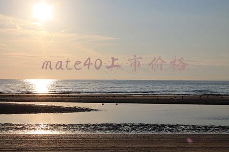 mate40上市价格国内(华为Mate新机3月3日上市，麒麟5G芯片加持售价6499元)