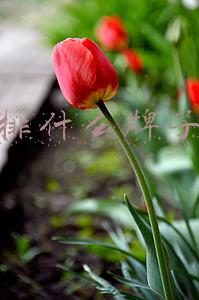 插排什么牌子好