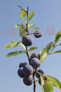 现在笔记本电脑什么牌子好