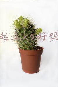 起亚k5值得入手吗(轴距接近A6！双屏显示还带驾驶辅助 这起亚K5值得买吗？)