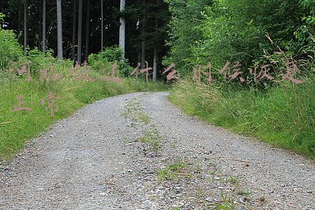 河北快递什么时候恢复正常