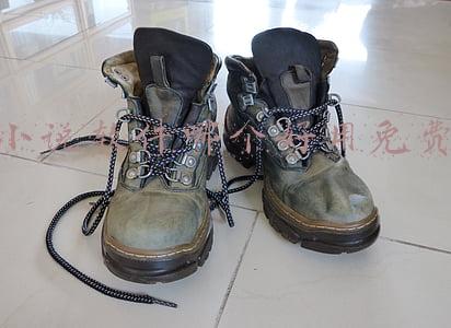 小说软件哪个好用免费