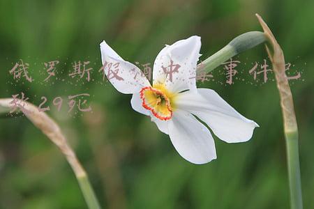 俄罗斯假酒中毒事件已致29死!l(俄罗斯奥伦堡州假酒中毒事件致21人死亡)