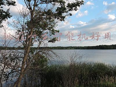 哪款智能机好(当下性价比极高的4款手机，花小钱也有旗舰体验，轻松使用三五年)