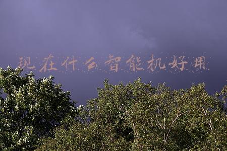 现在什么直播平台赚钱(流水的MCN，流水的直播间，赚钱的都是装修公司？)