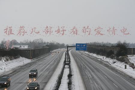 推荐几部好看的爱情电影国产(最爱《泰坦尼克号》《情书》？我们喜欢看怎样的爱情电影)