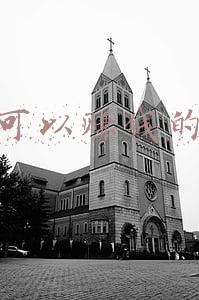 真的可以赚钱的游戏无广告(猫汤物语无广告版下载 v1.5.2汉化版)