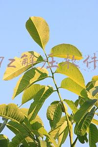7z解压软件
