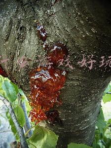 什么游戏好玩适合女生(女生最爱玩的十大网游 阴阳师上榜，王者仅仅第五)