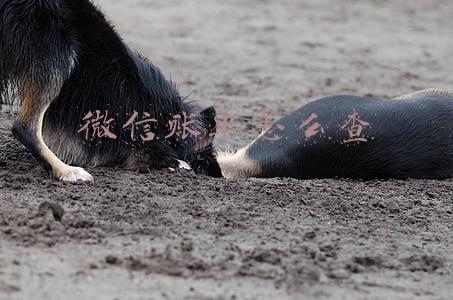 微信账单怎么查全年的(2020微信年度账单在哪看 微信年度账单收入红包明细查看方法)