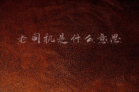 男生给女生备注老司机是什么意思(看完男友手机给我的备注，就服他这老司机)