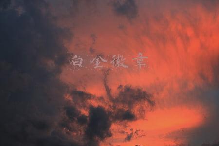 白金徽章镶嵌在哪个部位(DNF：鬼剑士输出白金徽章解析，只有完美镶嵌，才能打极限伤害)