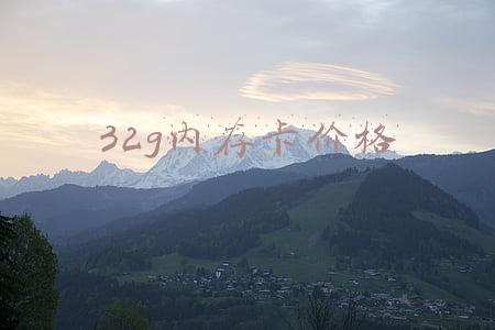 32g内存卡价格