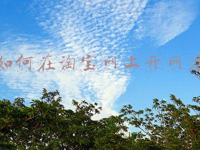 如何在淘宝网上开网店