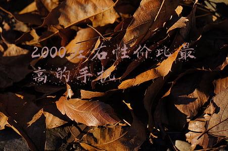 2000左右性价比最高的手机