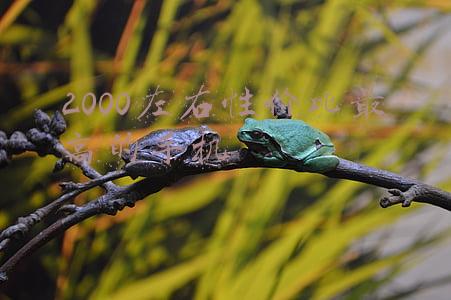 2000左右性价比最高的手机