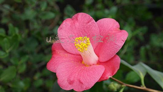 u盘芯片检测