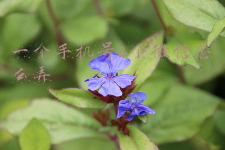 一个手机号2个微信怎么弄可以隐藏另一外一个吗(微信小技巧分享（六）：通讯录里藏着另外一个我，还有8大妙用)
