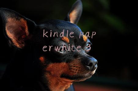 kindlepaperwhite3和4的区别(kindle paperwhite 4和3的区别)